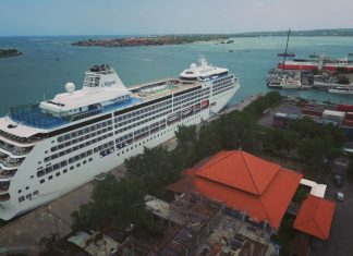 Kembangkan Green Port, Pelindo III Tanam 50.000 Bibit Bakau di Pelabuhan Benoa