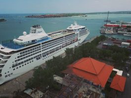 Kembangkan Green Port, Pelindo III Tanam 50.000 Bibit Bakau di Pelabuhan Benoa