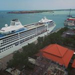 Kembangkan Green Port, Pelindo III Tanam 50.000 Bibit Bakau di Pelabuhan Benoa